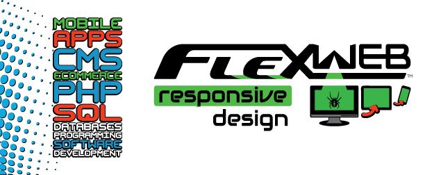 goes-2-flex-web-design-page